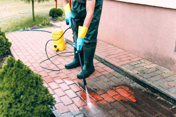 Best Animal Enclosure Cleaning  in Zephyrhills West, FL